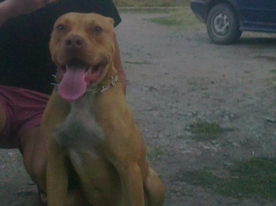 Ares