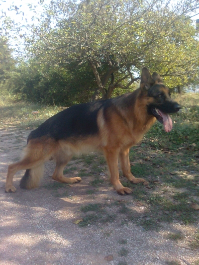Nero von Arminius2000