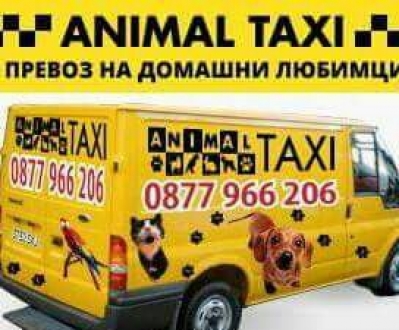 Animal taxi