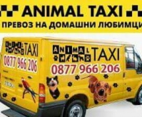 Animal taxi