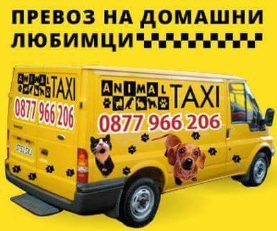 Animal taxi