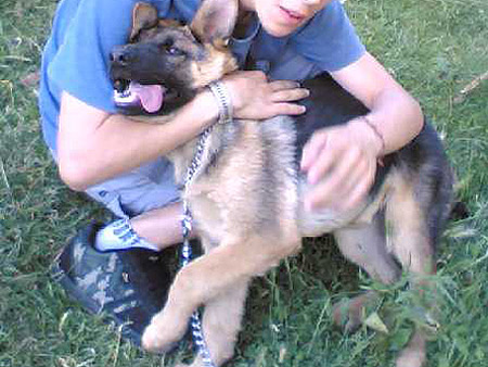 Хера