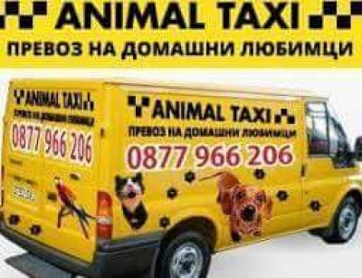 Animaltaxi